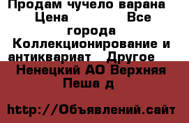 Продам чучело варана. › Цена ­ 15 000 - Все города Коллекционирование и антиквариат » Другое   . Ненецкий АО,Верхняя Пеша д.